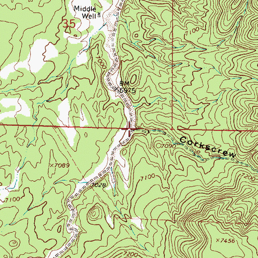 Topographic Map of Corkscrew Canyon, NM
