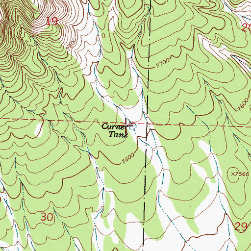 Topographic Map of Corner Tank, NM