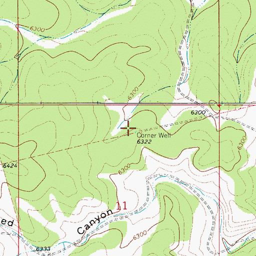 Topographic Map of Corner Well, NM