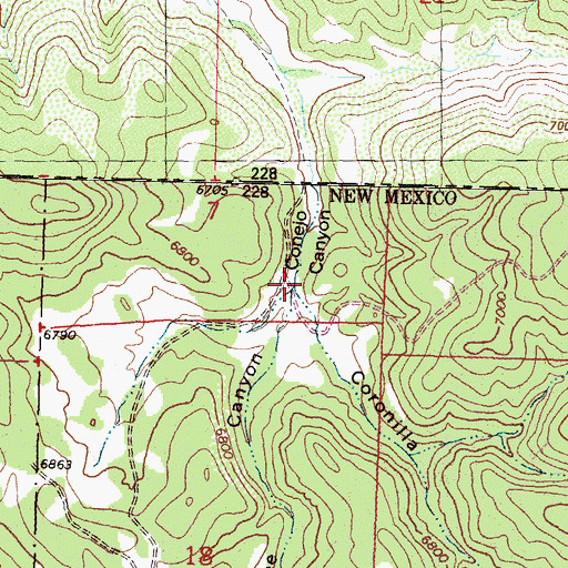 Topographic Map of Coronilla Canyon, NM