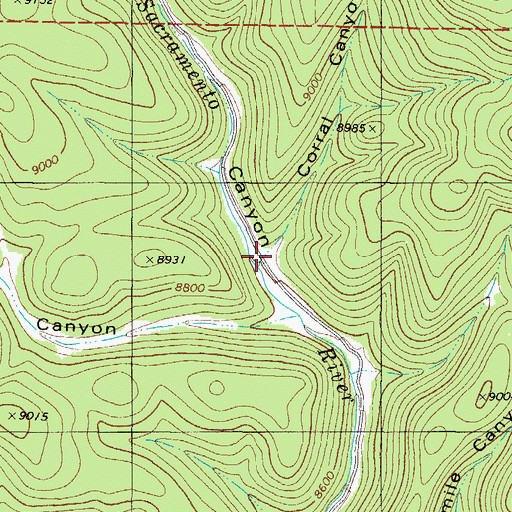 Topographic Map of Corral Canyon, NM