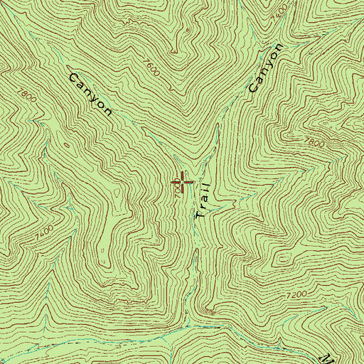 Topographic Map of Corral Canyon, NM