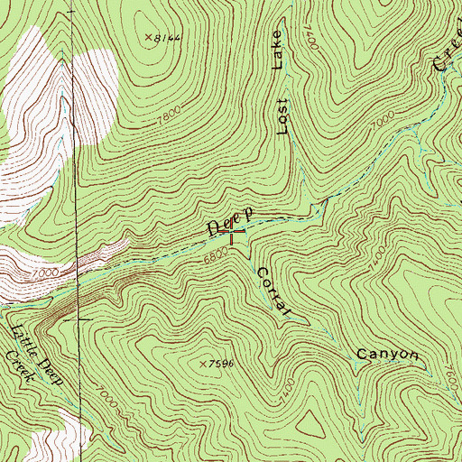 Topographic Map of Corral Canyon, NM