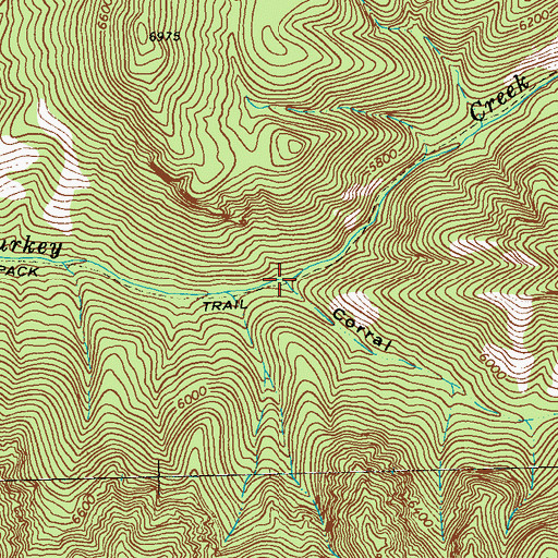 Topographic Map of Corral Canyon, NM