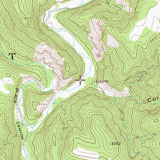 Topographic Map of Corral Canyon, NM