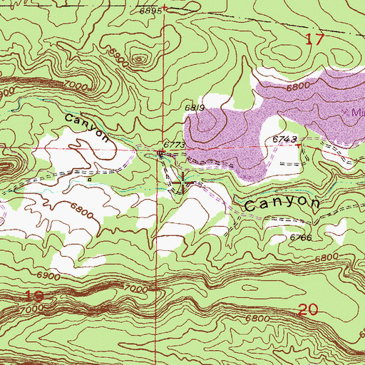 Topographic Map of Corral Canyon, NM