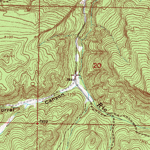 Topographic Map of Corral Canyon, NM
