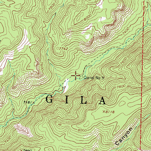 Topographic Map of Corral Number 9, NM