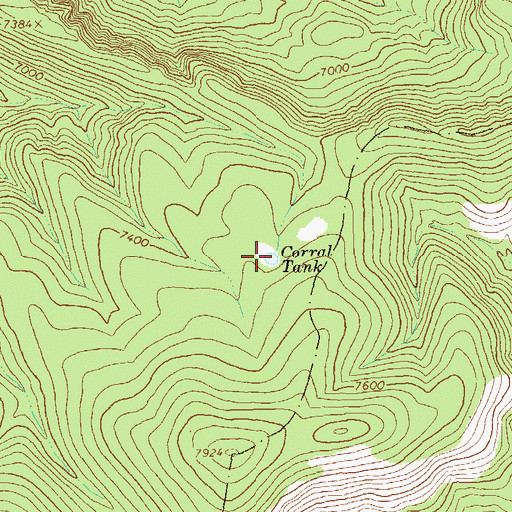 Topographic Map of Corral Tank, NM