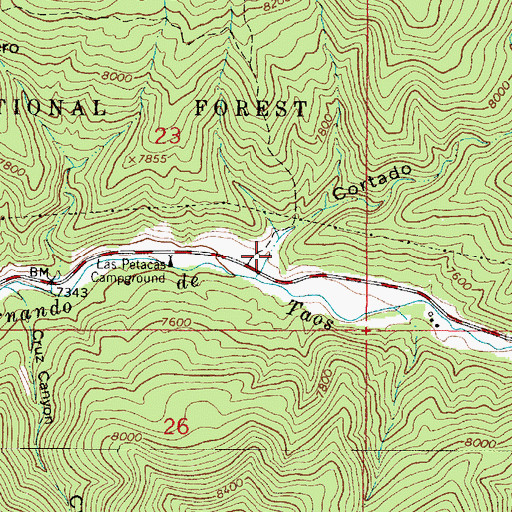 Topographic Map of Cortado Canyon, NM