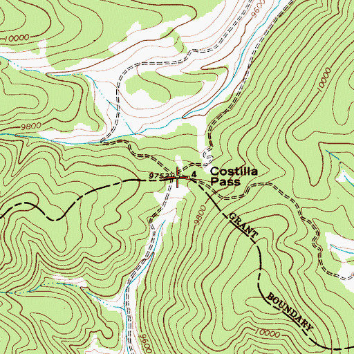 Topographic Map of Costilla Pass, NM