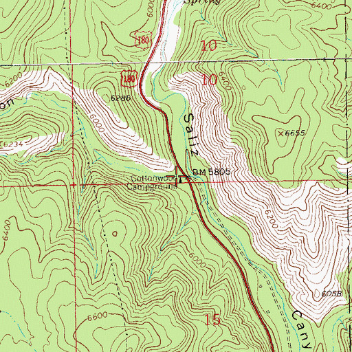 Topographic Map of Cottonwood Campground, NM