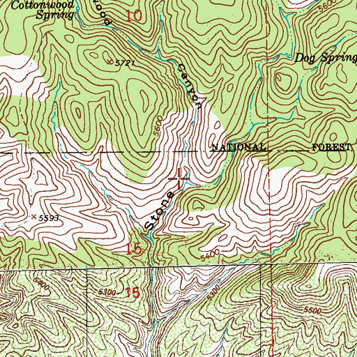 Topographic Map of Cottonwood Canyon, NM