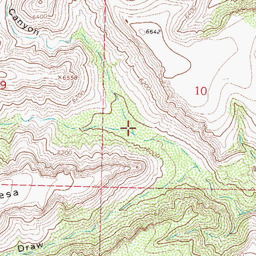 Topographic Map of Cottonwood Canyon, NM