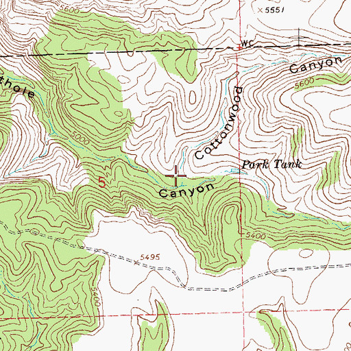 Topographic Map of Cottonwood Canyon, NM