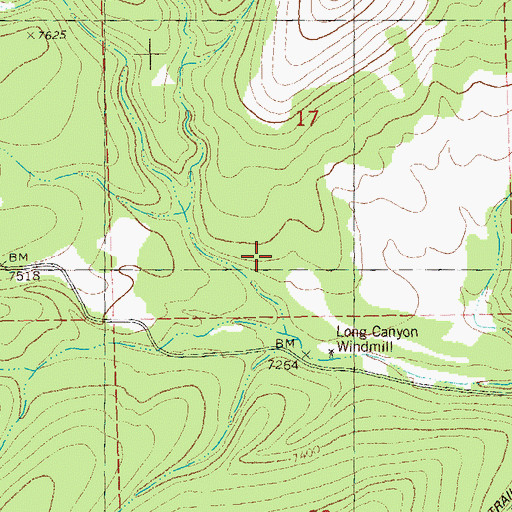Topographic Map of Cottonwood Canyon, NM
