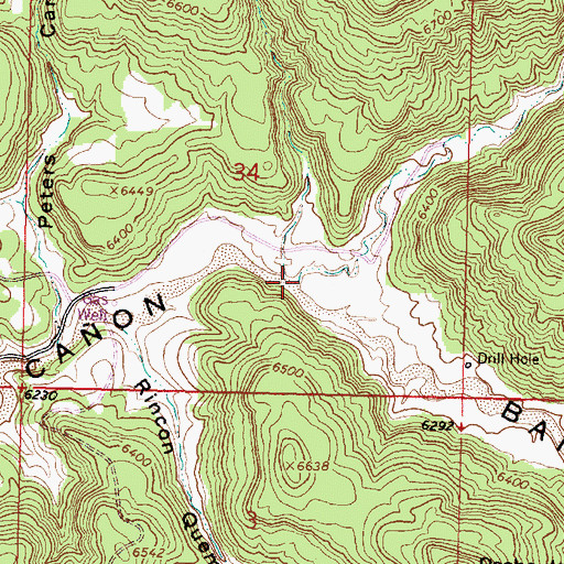 Topographic Map of Cottonwood Canyon, NM