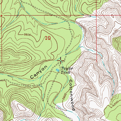 Topographic Map of Cottonwood Canyon, NM
