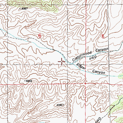 Topographic Map of Cottonwood Canyon, NM