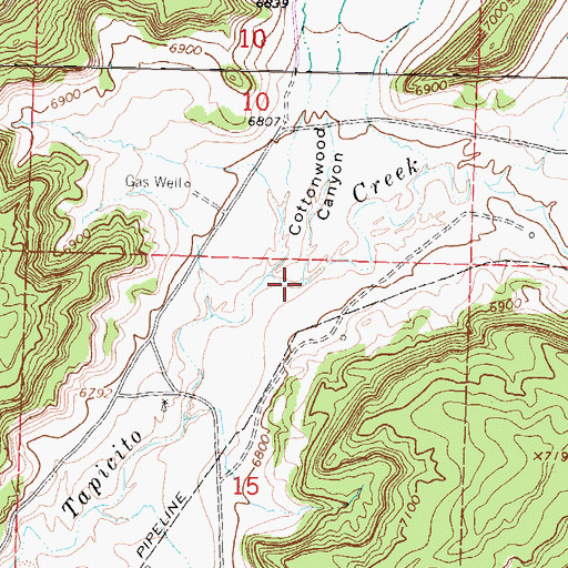 Topographic Map of Cottonwood Canyon, NM