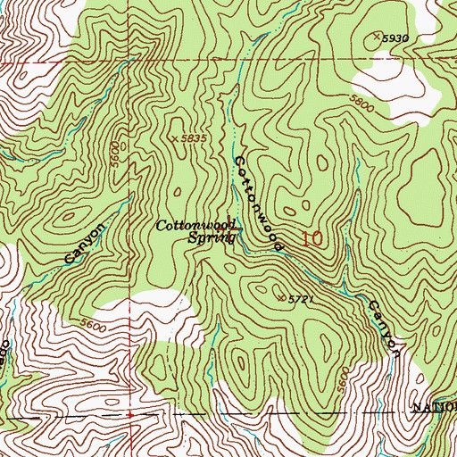 Topographic Map of Cottonwood Spring, NM