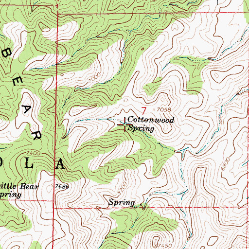 Topographic Map of Cottonwood Spring, NM