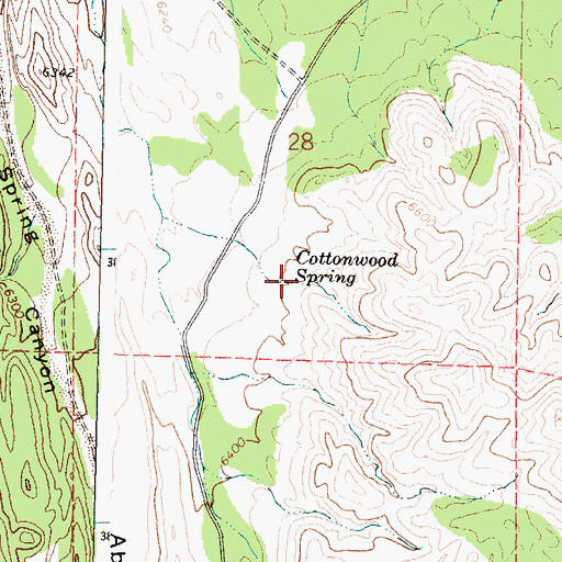 Topographic Map of Cottonwood Spring, NM