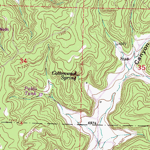 Topographic Map of Cottonwood Spring, NM