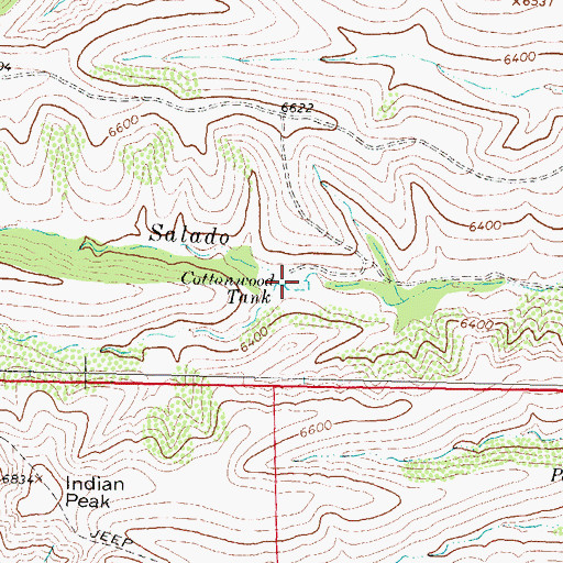Topographic Map of Cottonwood Tank, NM