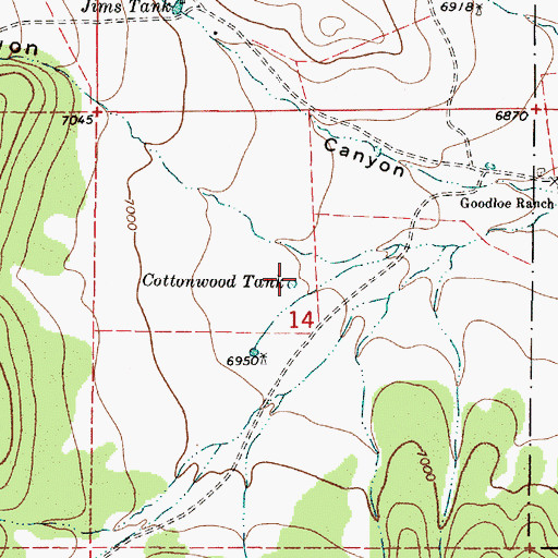 Topographic Map of Cottonwood Tank, NM