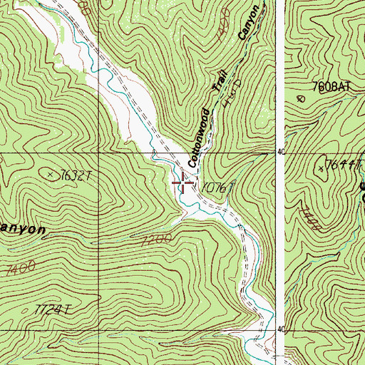 Topographic Map of Cottonwood Trail Canyon, NM