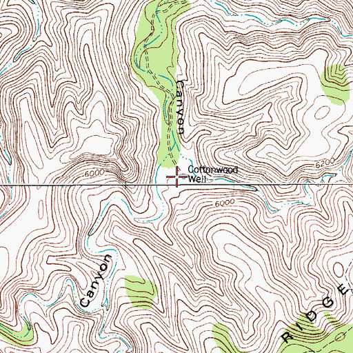 Topographic Map of Cottonwood Well, NM