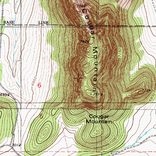 Topographic Map of Cougar Mountain, NM