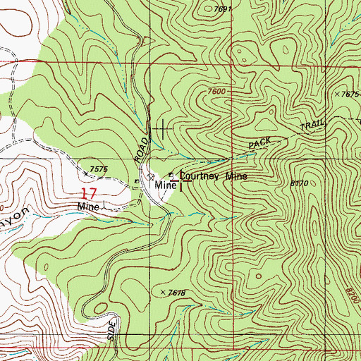 Topographic Map of Courtney Mine, NM