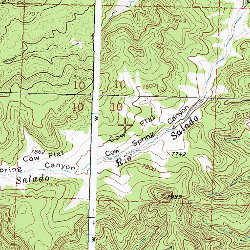 Topographic Map of Cow Flat, NM