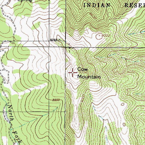Topographic Map of Cow Mountain, NM