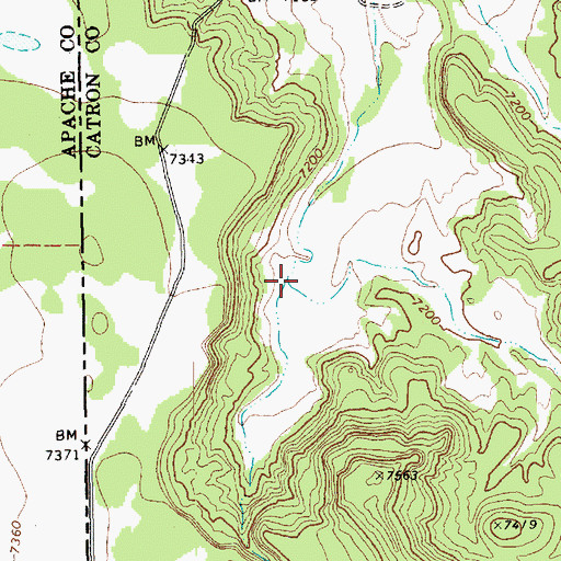 Topographic Map of Cow Springs Draw, NM