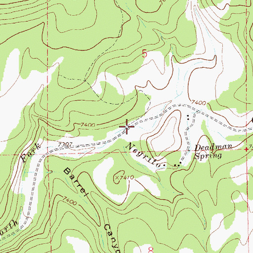 Topographic Map of Cox Canyon, NM