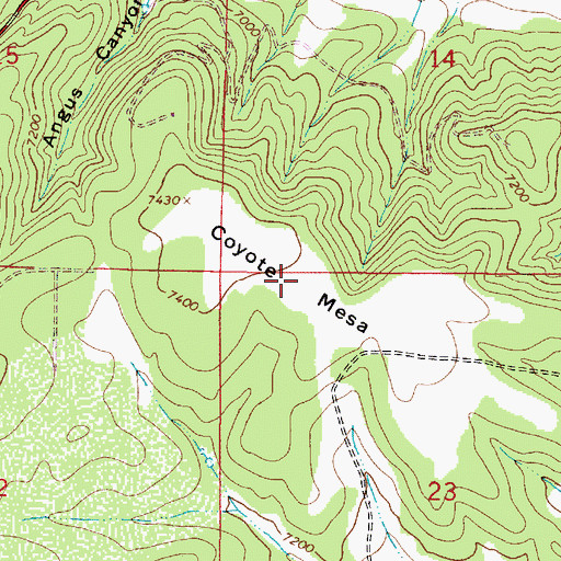Topographic Map of Coyote Mesa, NM