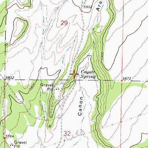 Topographic Map of Coyote Spring, NM