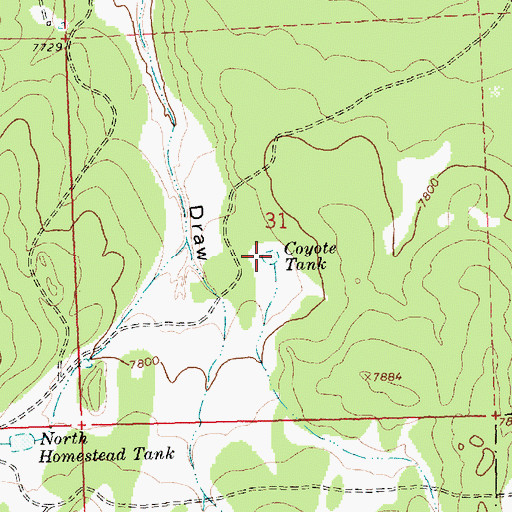 Topographic Map of Coyote Tank, NM