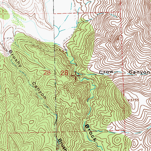Topographic Map of Crow Canyon, NM