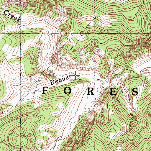 Topographic Map of Cruces Creek, NM