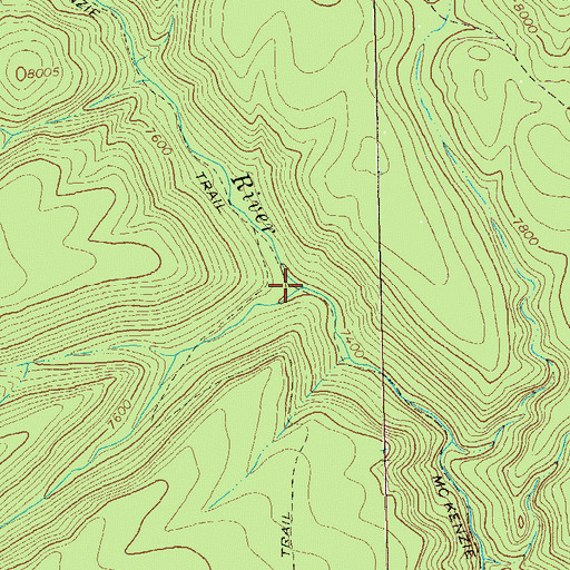 Topographic Map of Cub Creek, NM