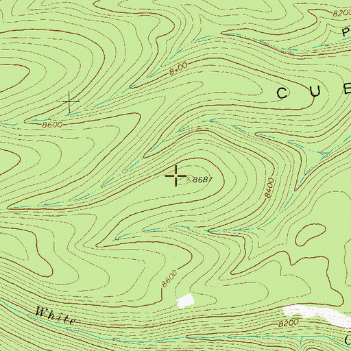 Topographic Map of Cub Mesa, NM