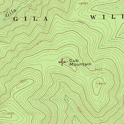 Topographic Map of Cub Mountain, NM