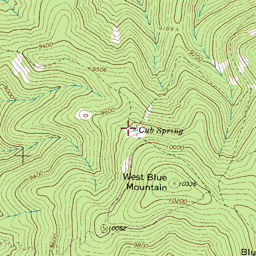 Topographic Map of Cub Spring, NM
