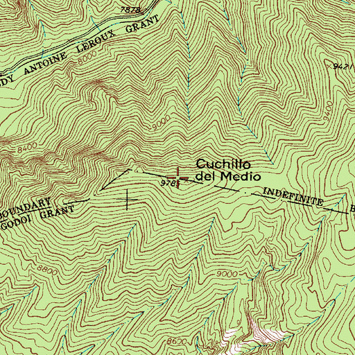 Topographic Map of Cuchillo del Medio, NM