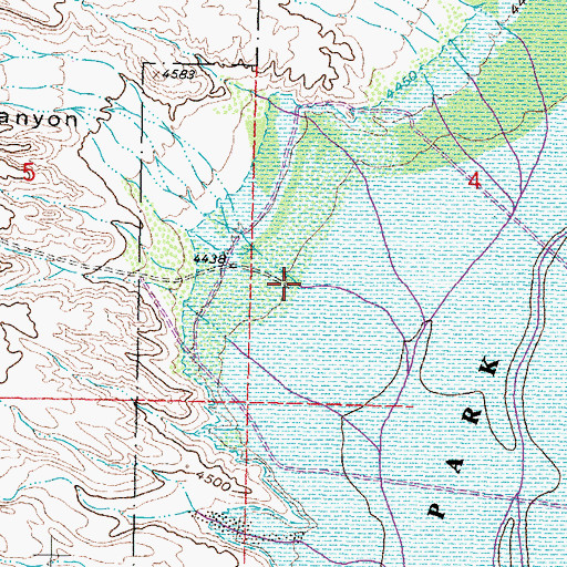 Topographic Map of Cuervo Canyon, NM