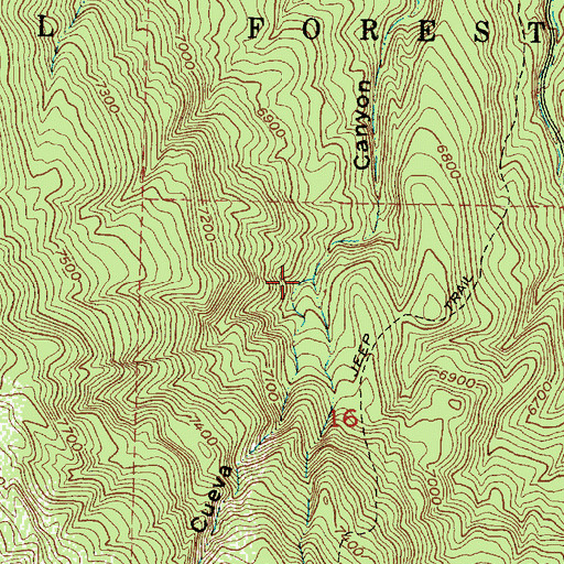 Topographic Map of Caon Osha, NM